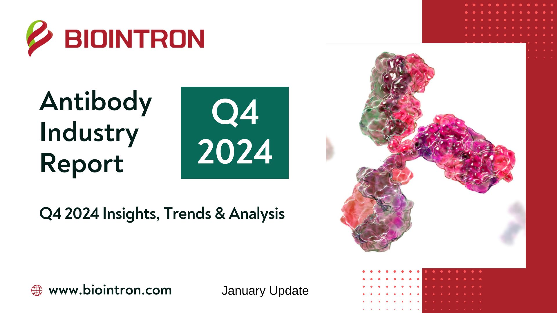 Biointron Insights: Antibody Industry Report (Q4 2024 Insights, Trends & Analysis)