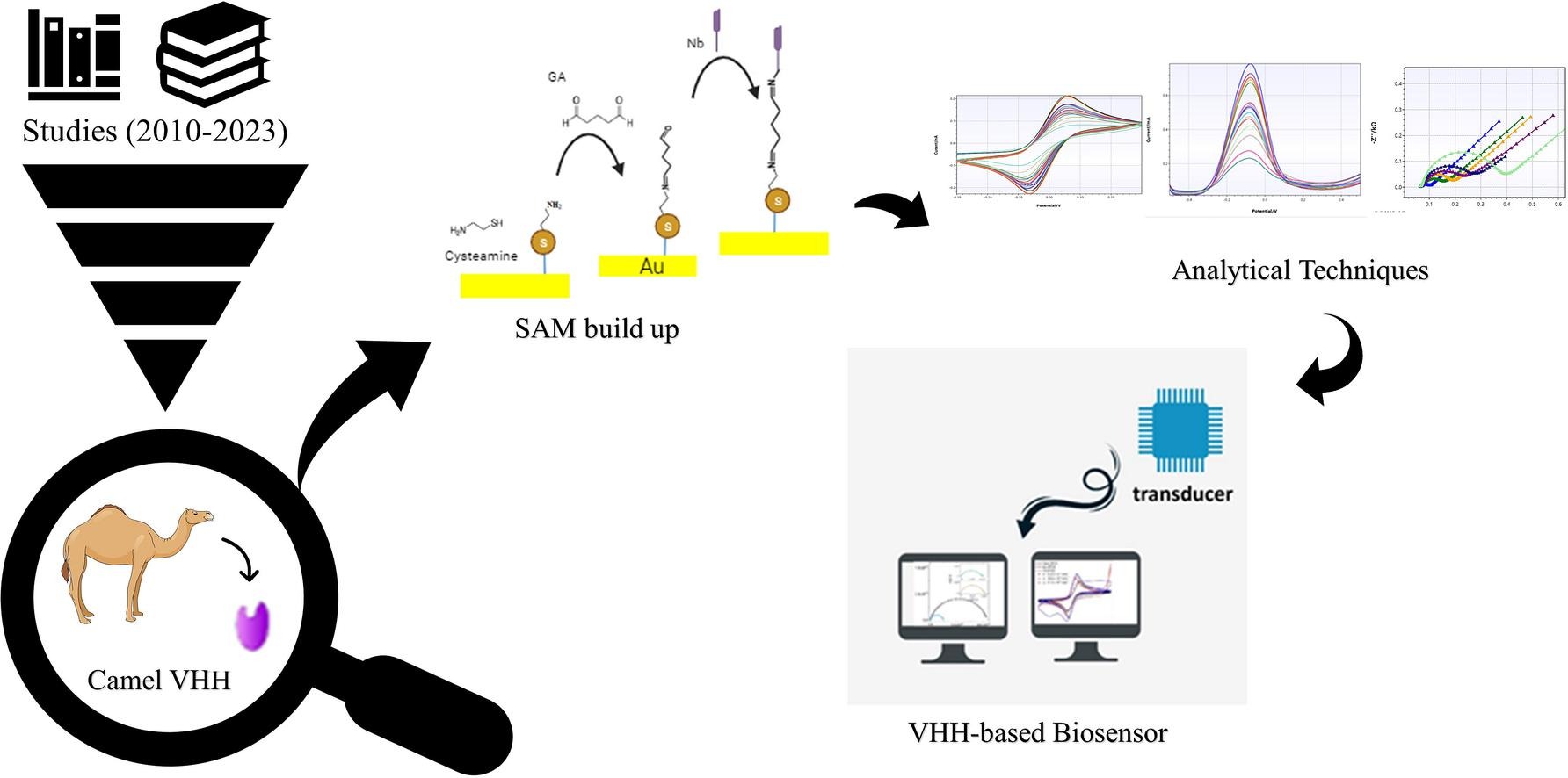 Nanobody-integration-diagnostics.jpg