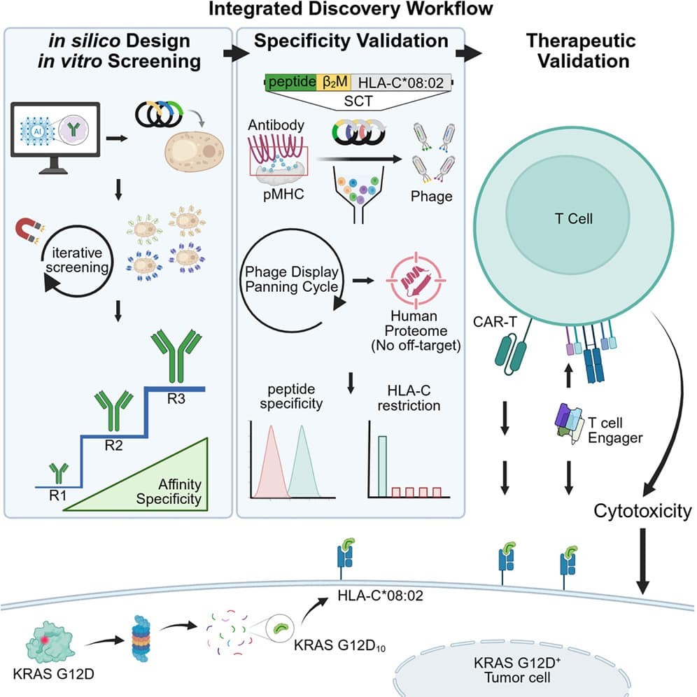 making-intracellular-mutations-visible.jpg