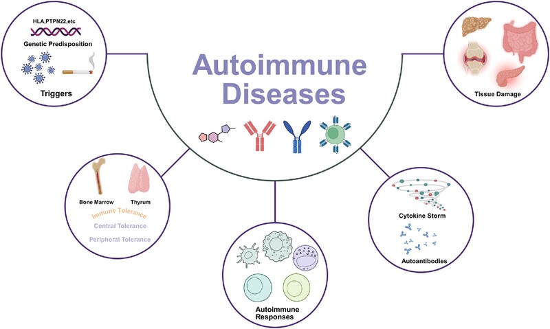 autoimmune-diseases.jpg