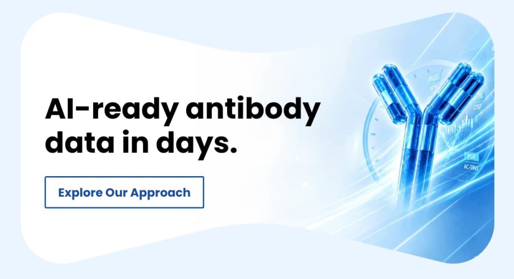 Rapid Screening, Binding Characterization or Developability Profiling: Which RushData Package Fits Your Program?