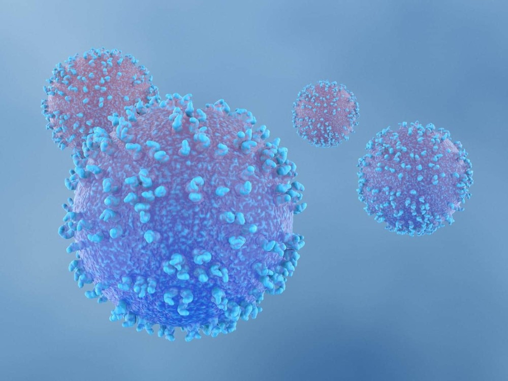 B-cell.jpg