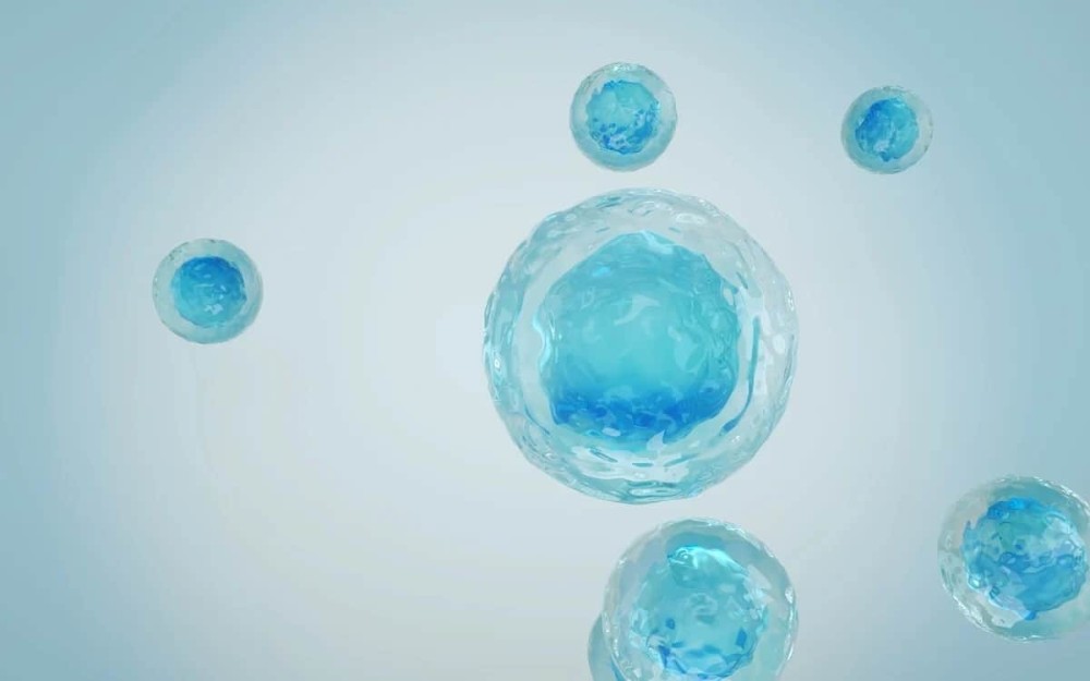 cells.jpg