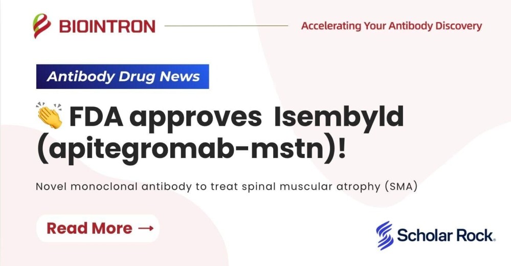 isembyld.jpg