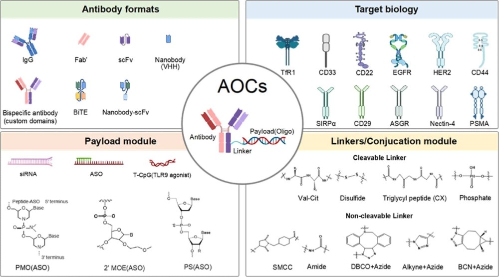 aocs.jpg