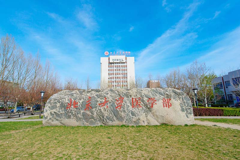 Into the Top 2 Universities in China – Biointron Career Fair at Tsinghua University and Peking University