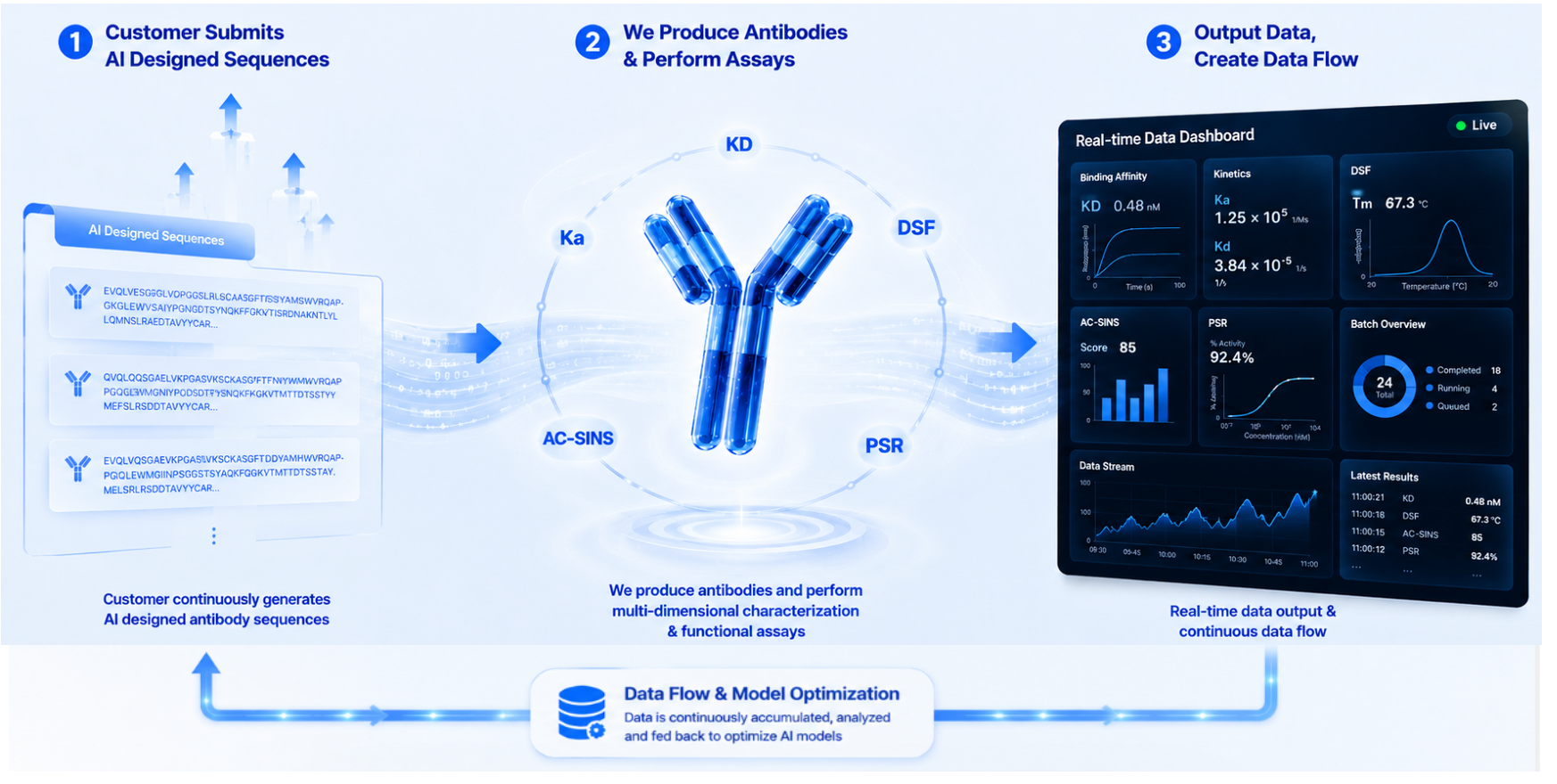 RushData workflow from AI-designed sequences to antibody assays and data flow
